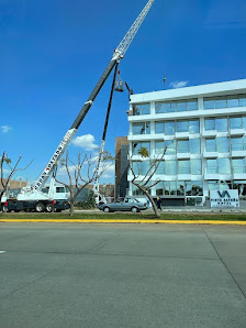 Gruas Tostado